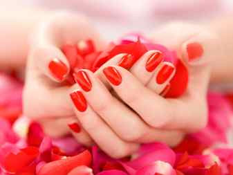 Manicure & Pedicure Salon - Female hands with red nails holding red and pink rose petals.